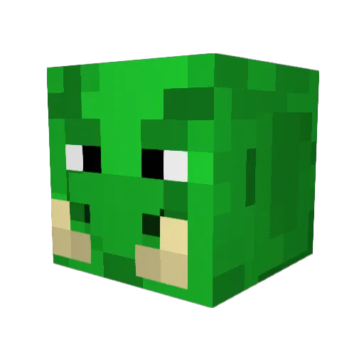 GuguFontes Minecraft avatar head, 3D render