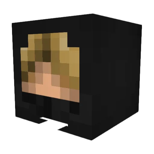 GuiEvo8 Minecraft avatar head, 3D render