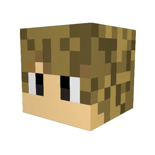 Gui_ninja_1 Minecraft avatar head, 3D render