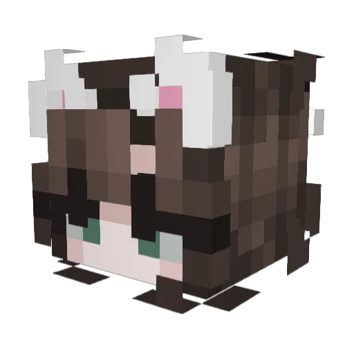 GuideX_EiEi Minecraft avatar head, 3D render