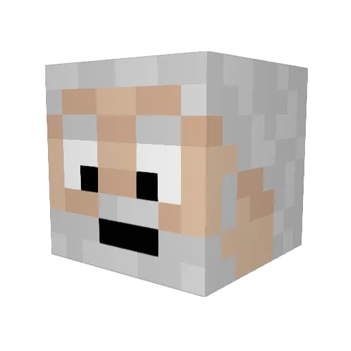 Guido11 Minecraft avatar head, 3D render