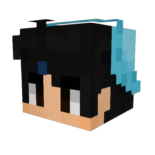 Guigamer2013 Minecraft avatar head, 3D render