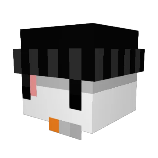 Guigas4i20 Minecraft avatar head, 3D render