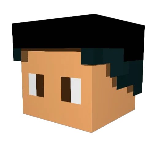 Guigui33220 Minecraft avatar head, 3D render