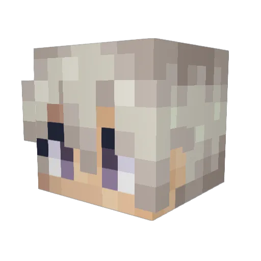 Guilhe09 Minecraft avatar head, 3D render