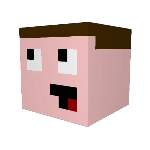 GuilhermeXD11 Minecraft avatar head, 3D render