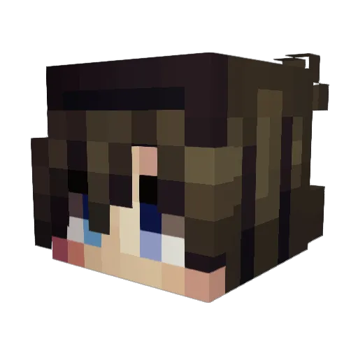 GuilloryFizzle Minecraft avatar head, 3D render