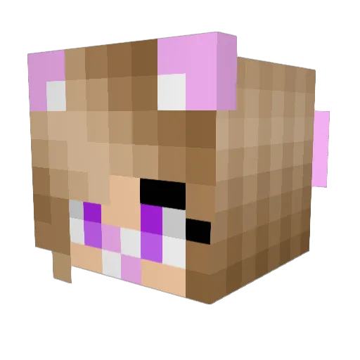 Guim0ve Minecraft avatar head, 3D render