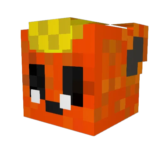 GuineaPigLover03 Minecraft avatar head, 3D render
