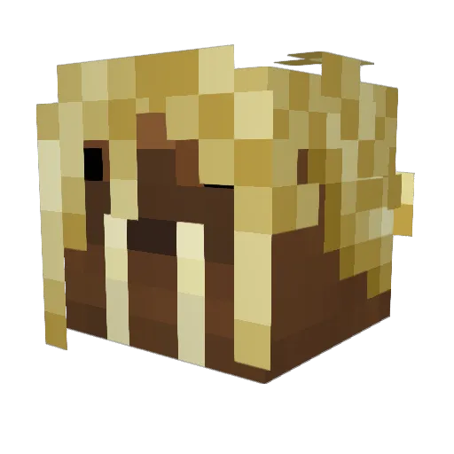 Guinguette Minecraft avatar head, 3D render