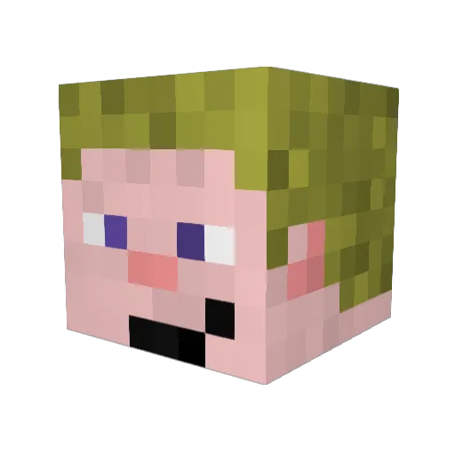 Guit31 Minecraft avatar head, 3D render