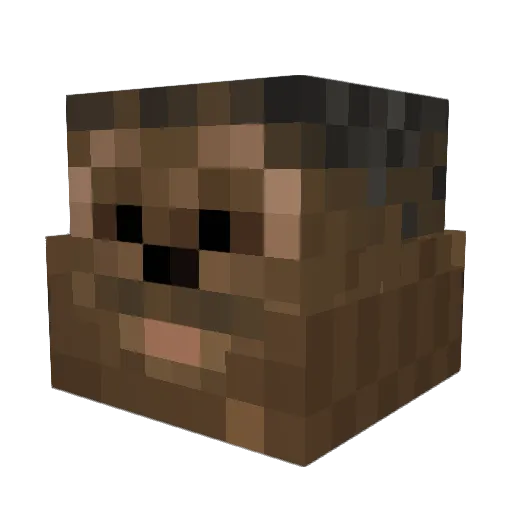 GuitarMan16 Minecraft avatar head, 3D render