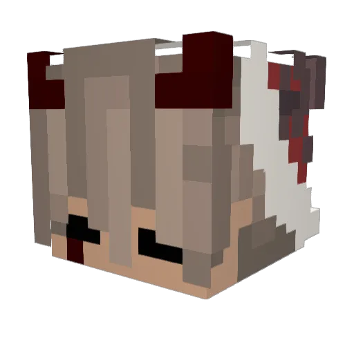 Guizinn00752 Minecraft avatar head, 3D render