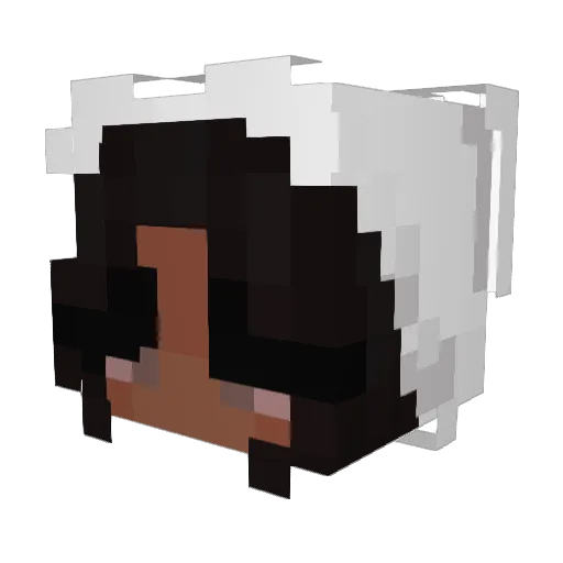 GukJu_lingeri Minecraft avatar head, 3D render