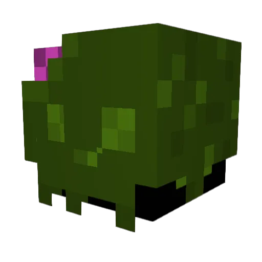 Gulpygulpin Minecraft avatar head, 3D render