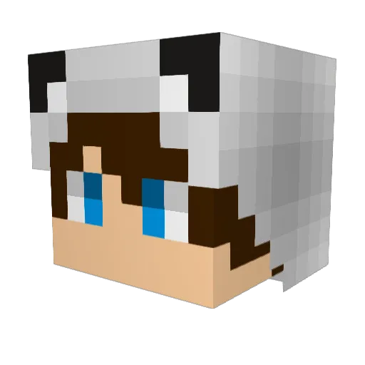 Gumballsnipr Minecraft avatar head, 3D render