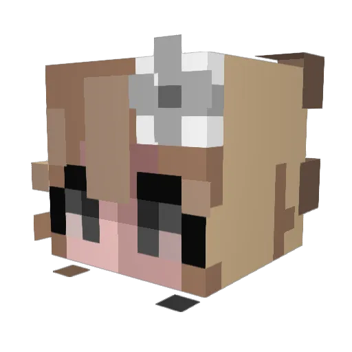 GummyFox2 Minecraft avatar head, 3D render