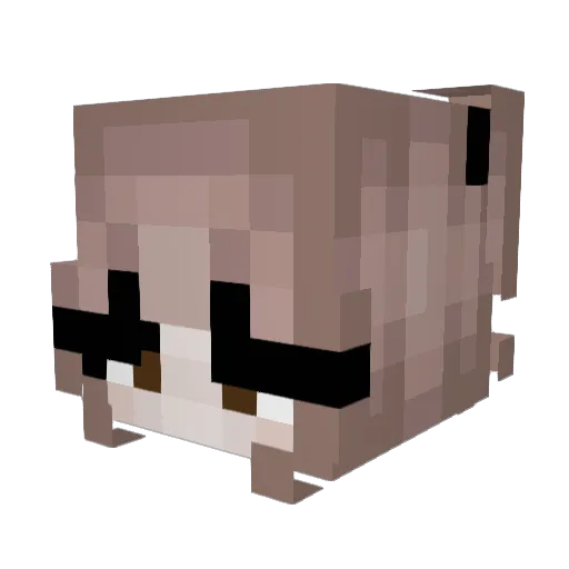 Gummy_OwO Minecraft avatar head, 3D render