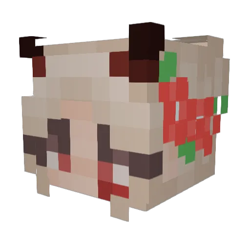 Gummyapplez Minecraft avatar head, 3D render