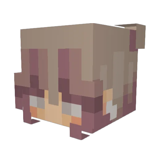 GunganBoy Minecraft avatar head, 3D render