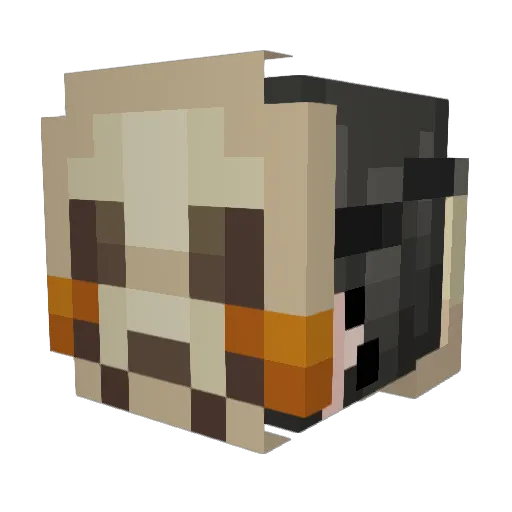 Gungus_Worker Minecraft avatar head, 3D render