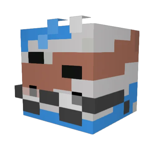 GunkBunk1 Minecraft avatar head, 3D render