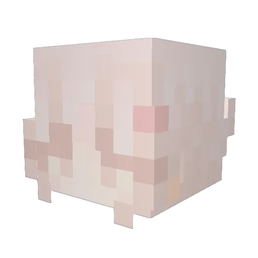 GunsForRoses Minecraft avatar head, 3D render