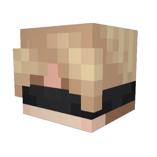 Gunstorm100808 Minecraft avatar head, 3D render