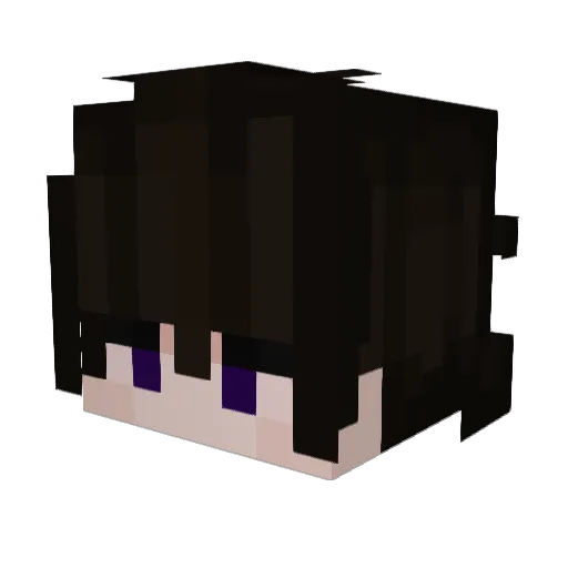 Gunter3239 Minecraft avatar head, 3D render