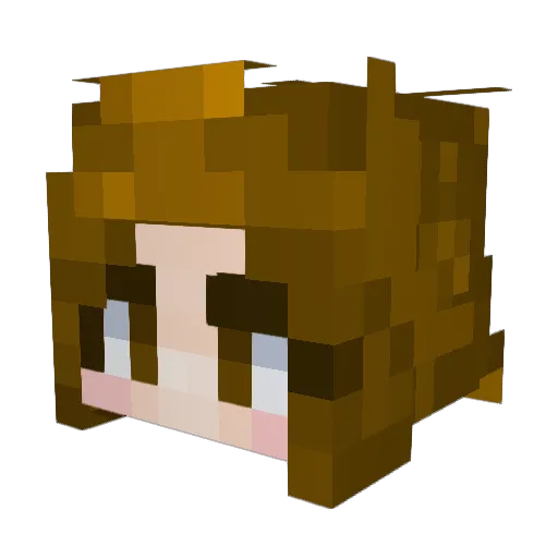 Gunter38 Minecraft avatar head, 3D render
