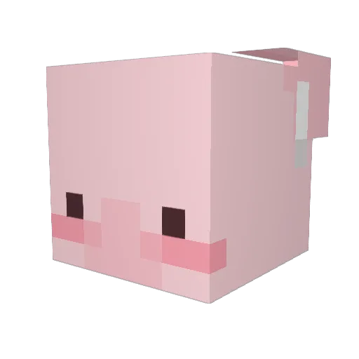 Gunterpenguin Minecraft avatar head, 3D render