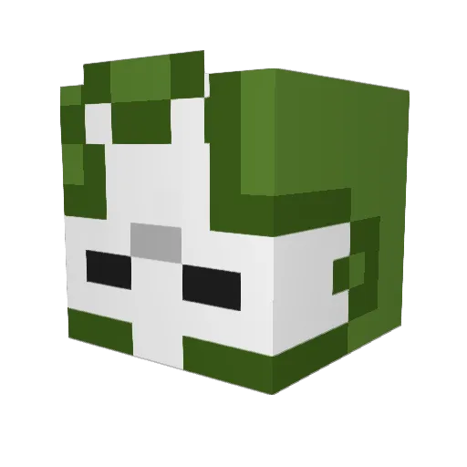 Gunther2141 Minecraft avatar head, 3D render