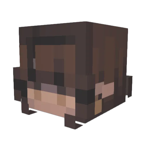 Gupita_B Minecraft avatar head, 3D render