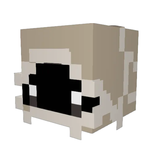 GuppyQuinn Minecraft avatar head, 3D render