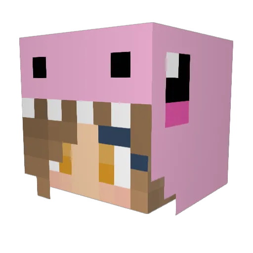 Guppyy2 Minecraft avatar head, 3D render