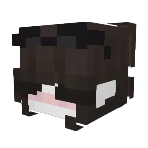 Gupx5 Minecraft avatar head, 3D render
