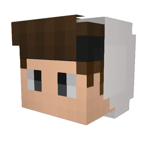 Gurbedurbie Minecraft avatar head, 3D render