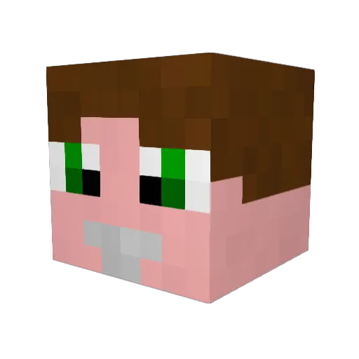 Gurra450 Minecraft avatar head, 3D render