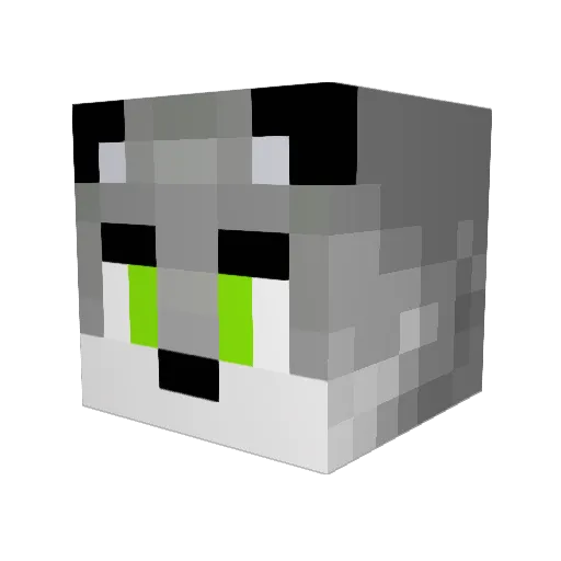 Gurran17 Minecraft avatar head, 3D render