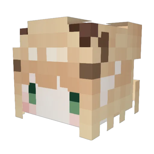 GuruGnome Minecraft avatar head, 3D render