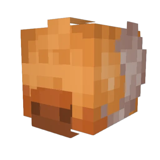 GuruGuy Minecraft avatar head, 3D render