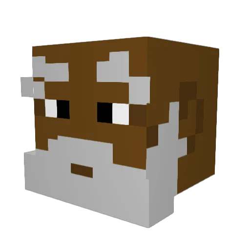 GuruPathik2 Minecraft avatar head, 3D render