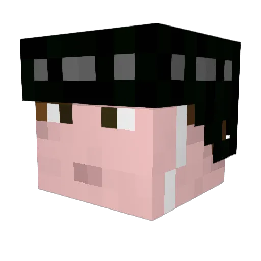 GusEU Minecraft avatar head, 3D render