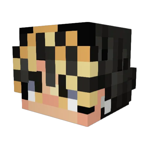 GusGus1250 Minecraft avatar head, 3D render