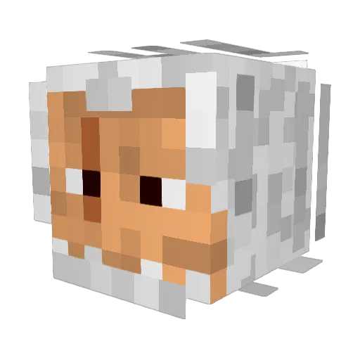 GusGusGamer544 Minecraft avatar head, 3D render