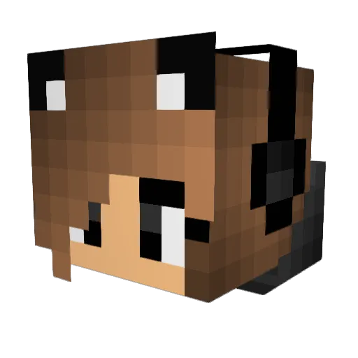 Guser_321 Minecraft avatar head, 3D render
