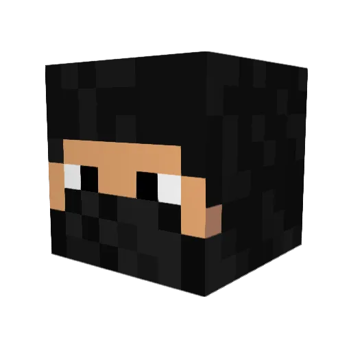 Gust221 Minecraft avatar head, 3D render