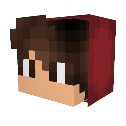 Gusta_05 Minecraft avatar head, 3D render