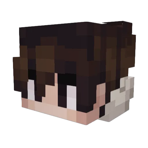 Gusta__vo Minecraft avatar head, 3D render