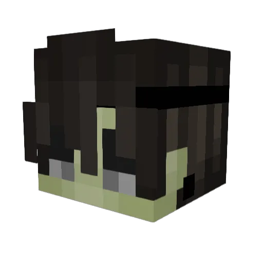Gustav_Der_Erste Minecraft avatar head, 3D render